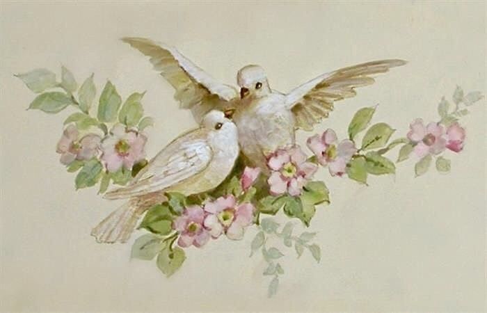 doves