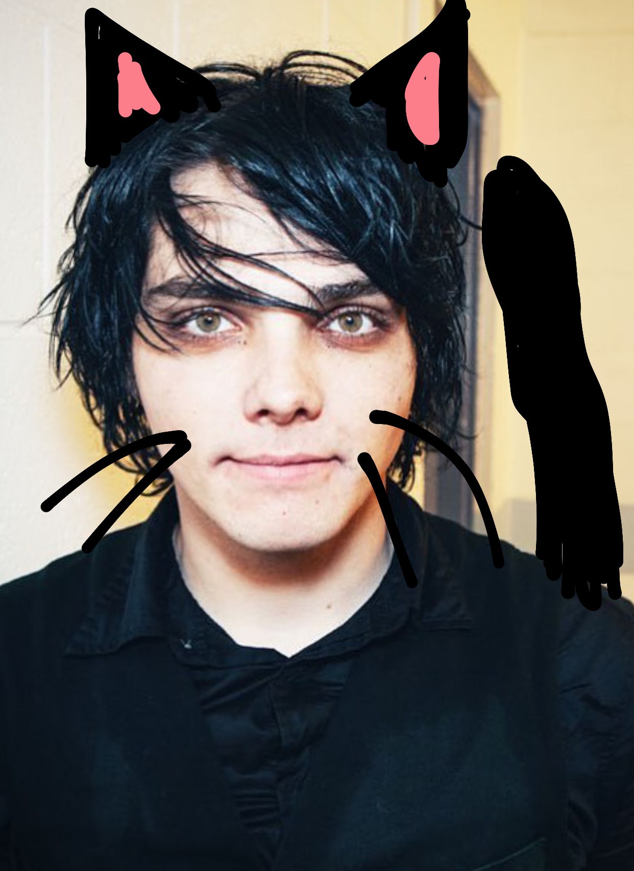 sheffrard as a cat